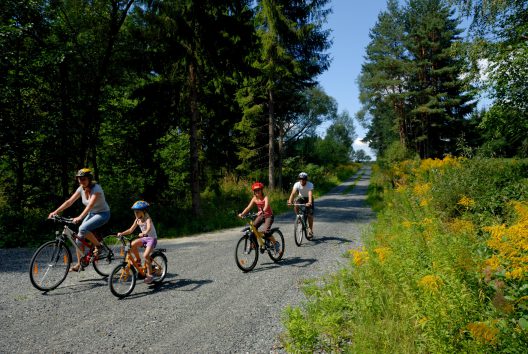 2007 Pölla Radfahren Familie (c) mediadesign (13)