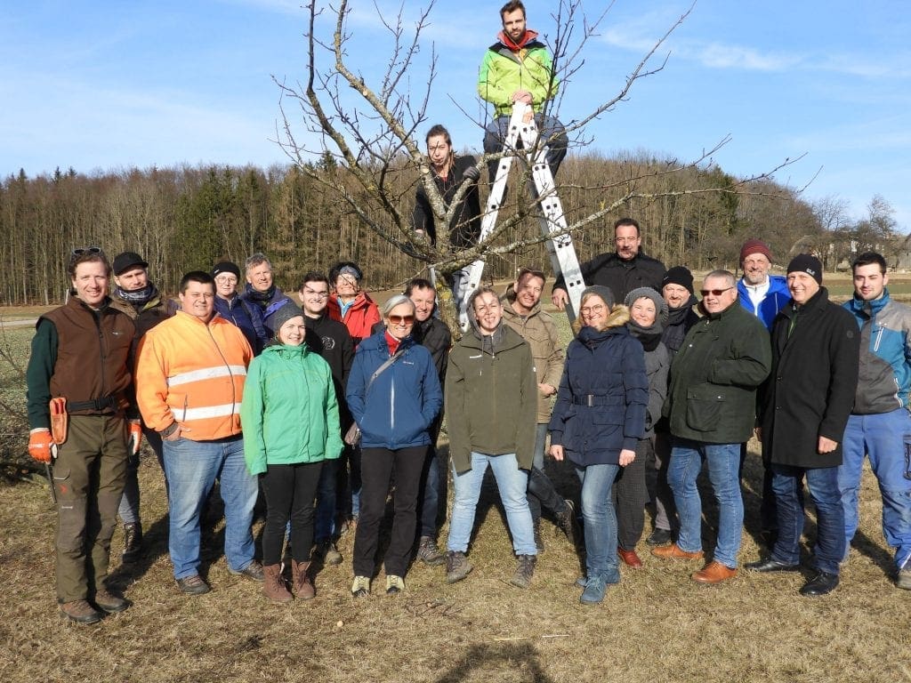 Obstbaum richtig schneiden