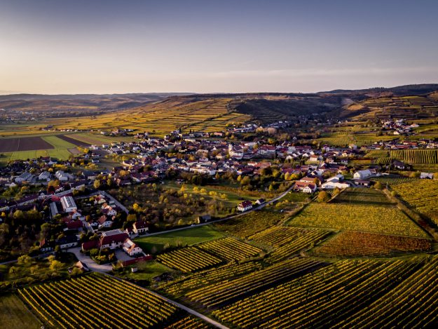 Weinbaugemeinde Strass