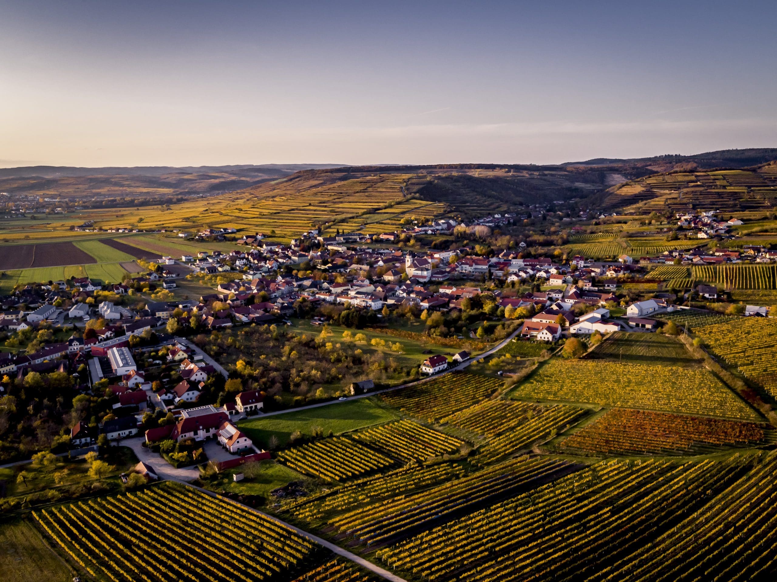 Weinbaugemeinde Strass