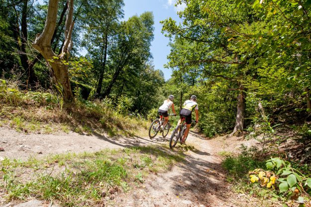 Rad- und Biketourismus Waldviertel