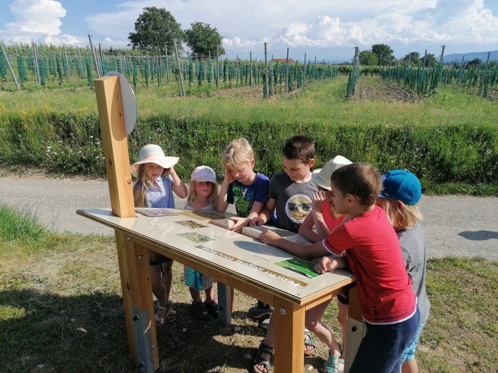 Riedenkarte auch spannend für Kinder