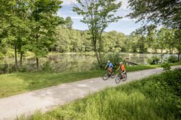 Radfahren_01(C)Waldviertel Tourismus_Studio Kerschbaum