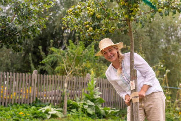 Junger Obstbaum wird gepflanzt