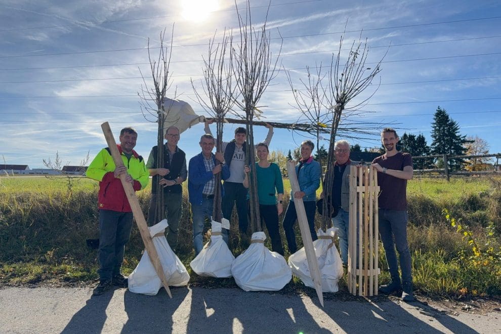 Baumausgabe-2025_Moststrasse