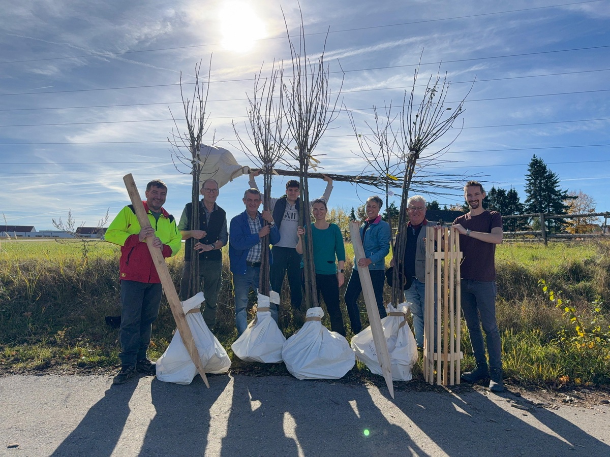 Baumausgabe-2025_Moststrasse