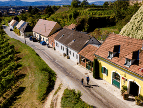 Kellergasse Rohrendorf