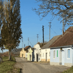 Kellergasse Galgenberg, Grafenegg