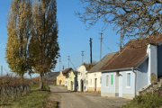 Kellergasse Galgenberg, Grafenegg