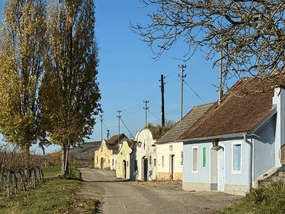 Kellergasse Galgenberg, Grafenegg